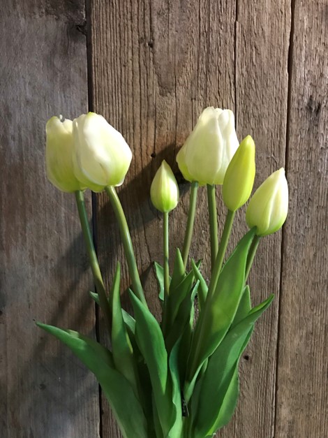 7 zijden soft Tulpen