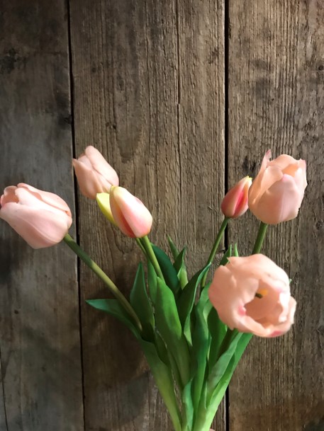 7 zijden Tulpen