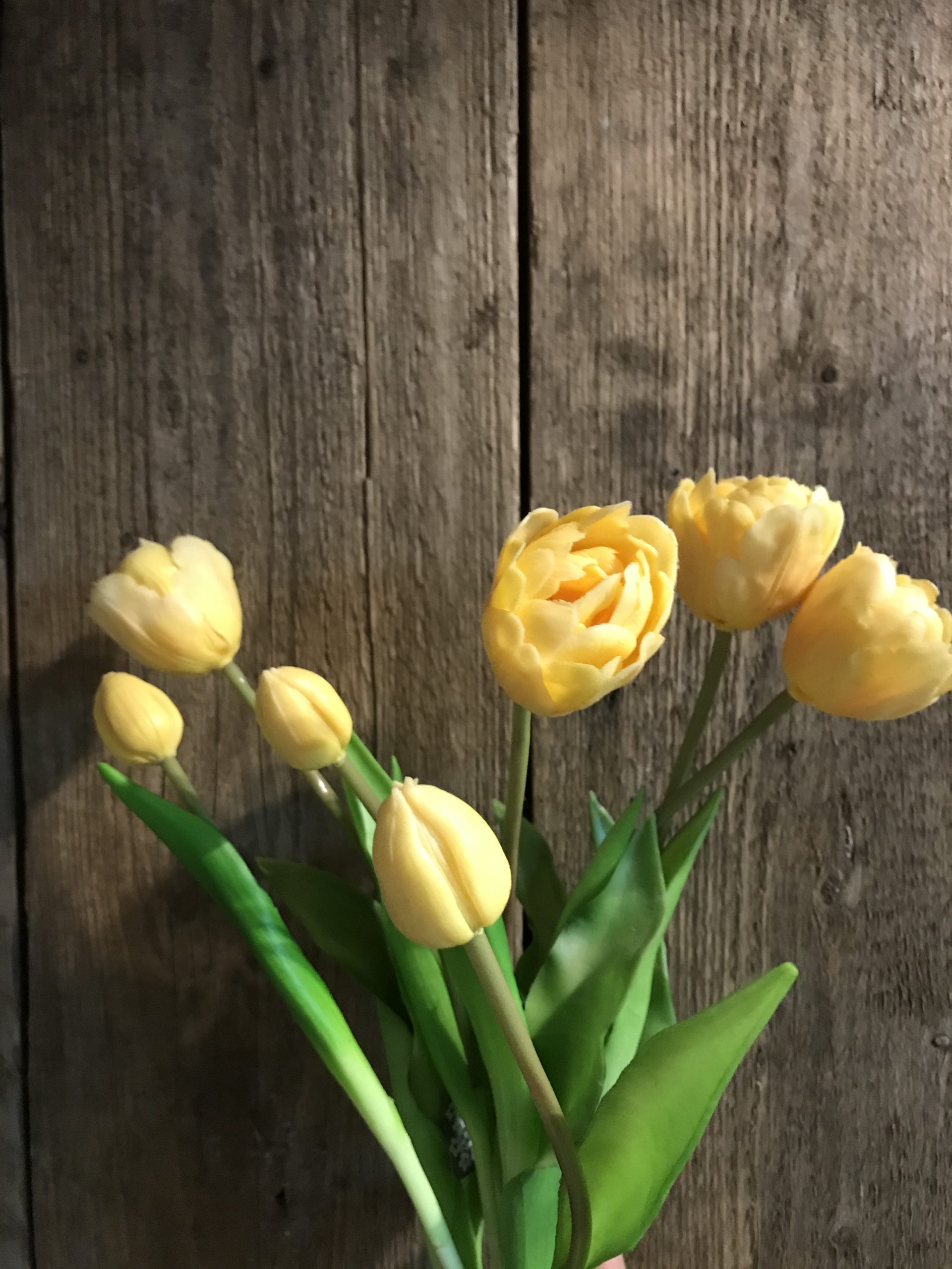 7 zijden Tulpen