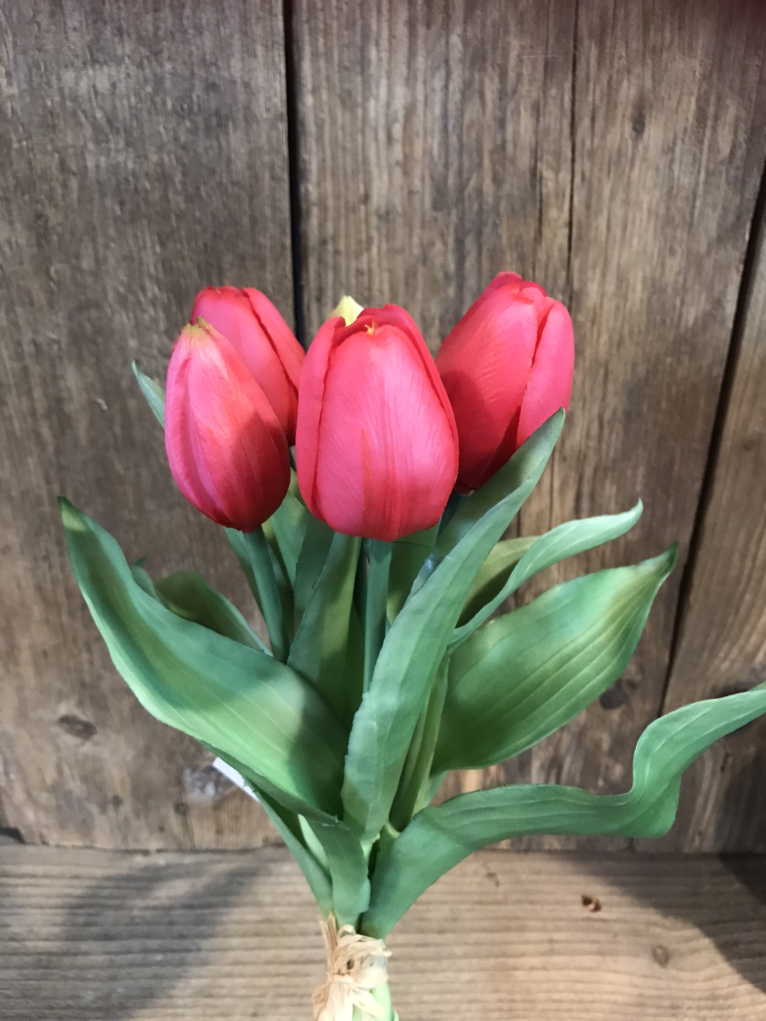 5 zijden Tulpen